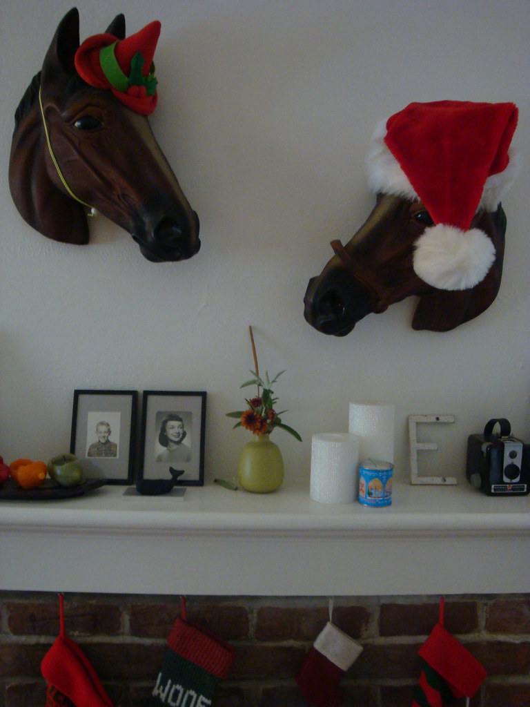 ho-ho-horses