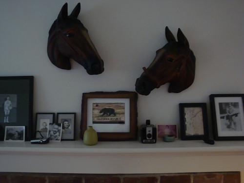 horses, of course